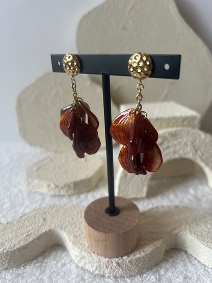 Boucles SALOMA