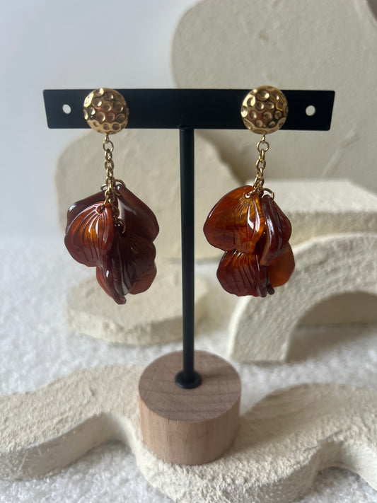 Boucles SALOMA